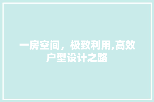 一房空间，极致利用,高效户型设计之路