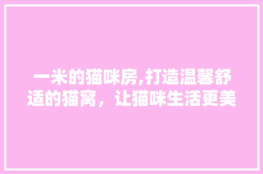 一米的猫咪房,打造温馨舒适的猫窝，让猫咪生活更美好 地面装修