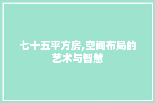 七十五平方房,空间布局的艺术与智慧 装修材料