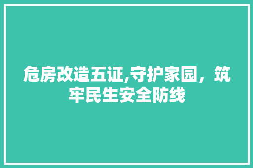 危房改造五证,守护家园，筑牢民生安全防线