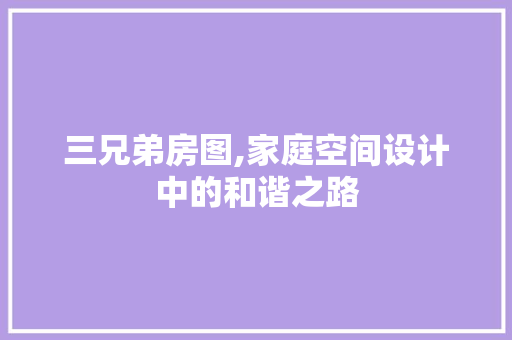 三兄弟房图,家庭空间设计中的和谐之路 墙面装饰