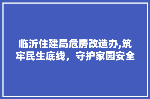 临沂住建局危房改造办,筑牢民生底线，守护家园安全 墙面装饰