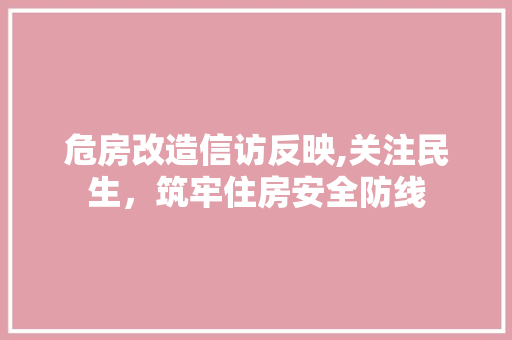 危房改造信访反映,关注民生，筑牢住房安全防线