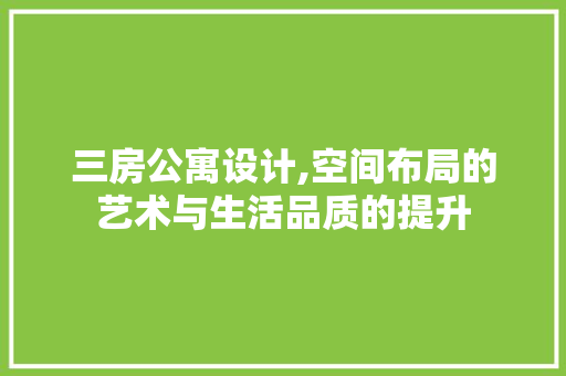 三房公寓设计,空间布局的艺术与生活品质的提升 隔断设计