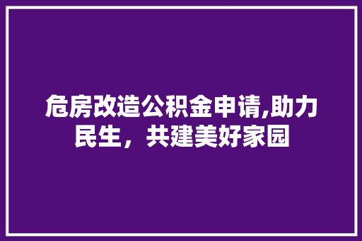 危房改造公积金申请,助力民生，共建美好家园 庭院装修