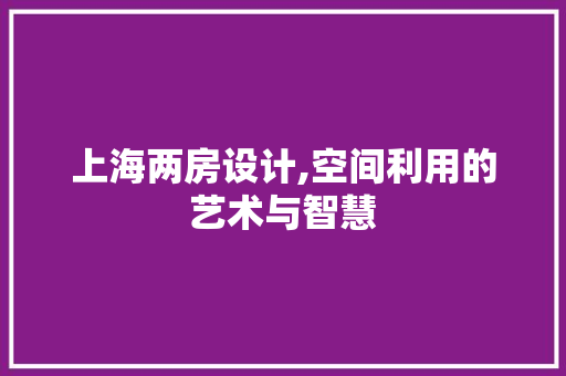 上海两房设计,空间利用的艺术与智慧