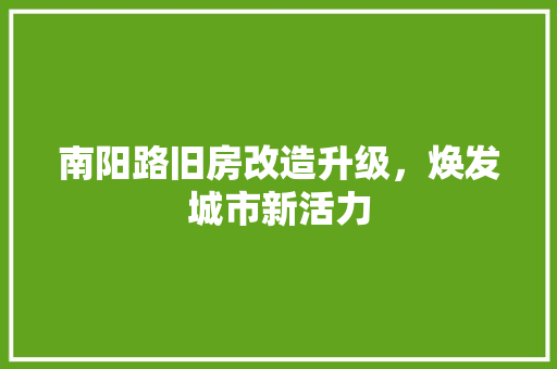 南阳路旧房改造升级，焕发城市新活力