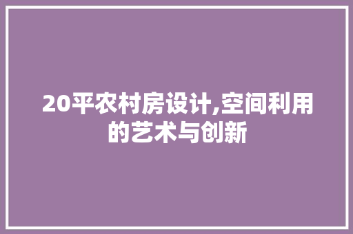 20平农村房设计,空间利用的艺术与创新 墙面装饰