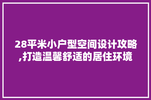 28平米小户型空间设计攻略,打造温馨舒适的居住环境 墙面装饰
