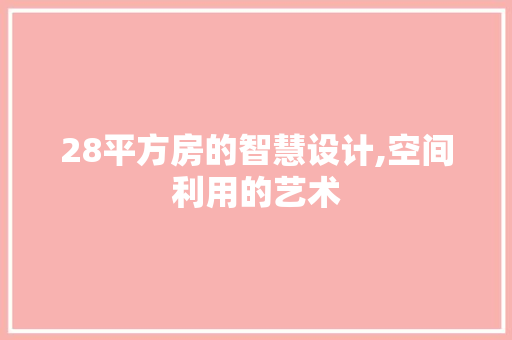 28平方房的智慧设计,空间利用的艺术