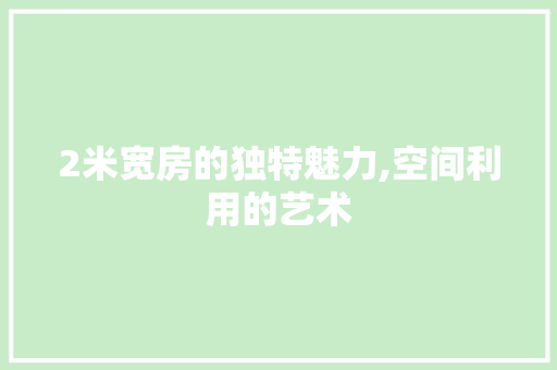 2米宽房的独特魅力,空间利用的艺术
