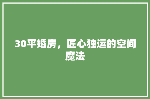 30平婚房,匠心独运的空间魔法 装修材料 30平婚房,匠心独运的空间魔法 装修材料