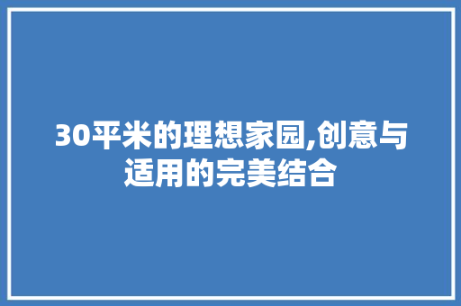 30平米的理想家园,创意与适用的完美结合 墙面装饰