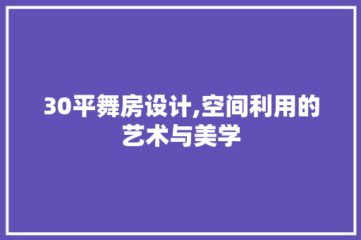 30平舞房设计,空间利用的艺术与美学