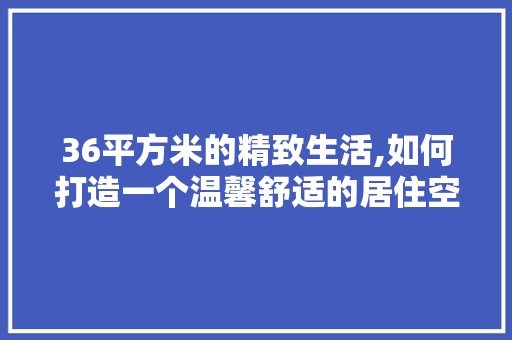 36平方米的精致生活,如何打造一个温馨舒适的居住空间 墙面装饰
