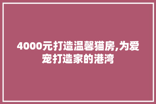 4000元打造温馨猫房,为爱宠打造家的港湾 地面装修