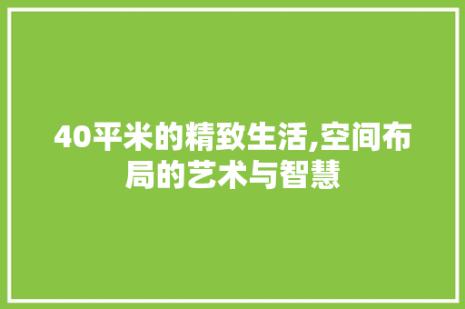 40平米的精致生活,空间布局的艺术与智慧 门窗装修