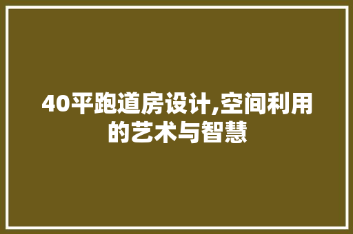40平跑道房设计,空间利用的艺术与智慧