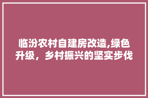 临汾农村自建房改造,绿色升级，乡村振兴的坚实步伐