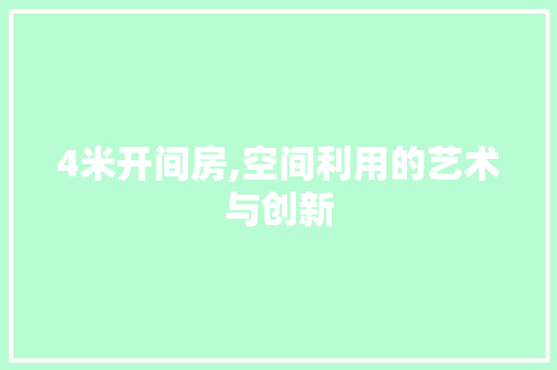 4米开间房,空间利用的艺术与创新 装修攻略