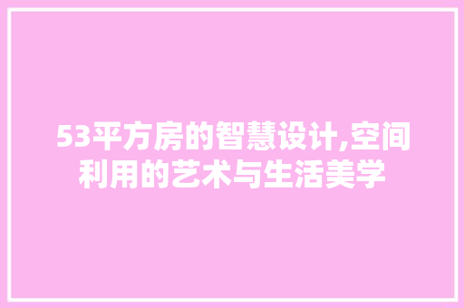 53平方房的智慧设计,空间利用的艺术与生活美学