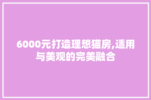 6000元打造理想猫房,适用与美观的完美融合