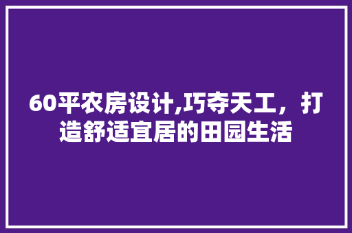60平农房设计,巧夺天工，打造舒适宜居的田园生活