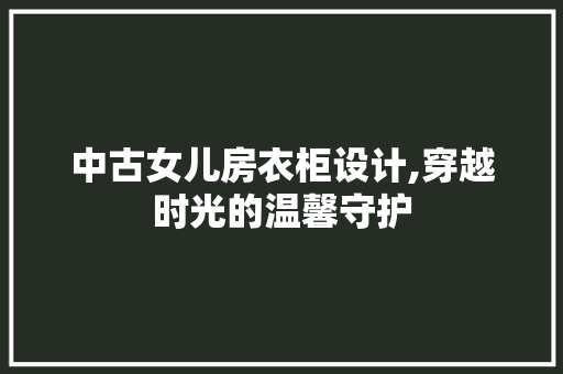 中古女儿房衣柜设计,穿越时光的温馨守护