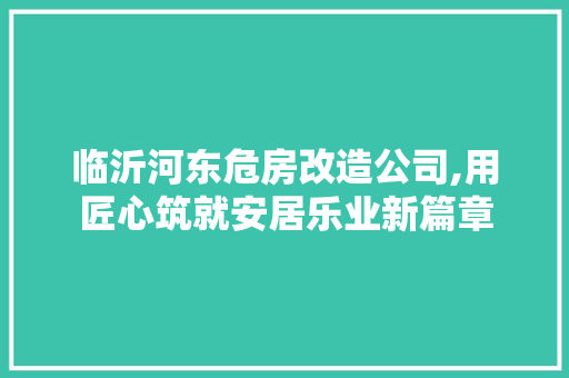 临沂河东危房改造公司,用匠心筑就安居乐业新篇章