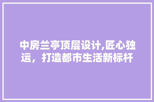 中房兰亭顶层设计,匠心独运，打造都市生活新标杆 装修攻略