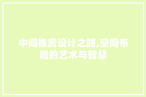中间栋房设计之路,空间布局的艺术与智慧