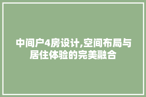 中间户4房设计,空间布局与居住体验的完美融合