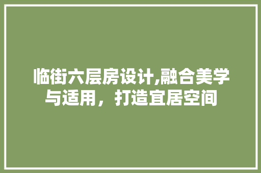 临街六层房设计,融合美学与适用，打造宜居空间