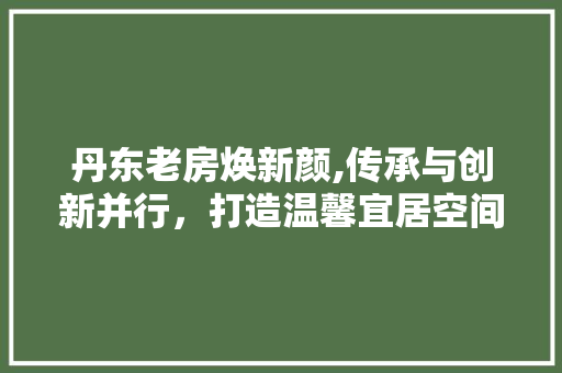 丹东老房焕新颜,传承与创新并行,打造温馨宜居空间