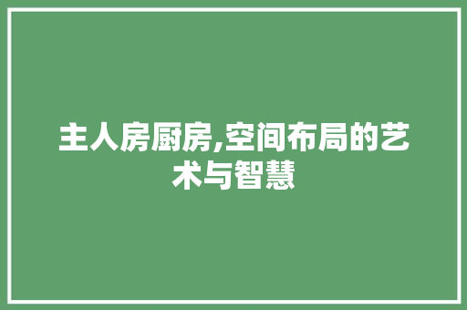 主人房厨房,空间布局的艺术与智慧