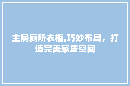 主房厕所衣柜,巧妙布局，打造完美家居空间