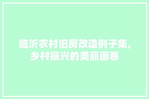 临沂农村旧房改造例子集,乡村振兴的美丽画卷