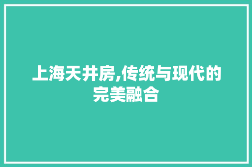 上海天井房,传统与现代的完美融合 隔断设计