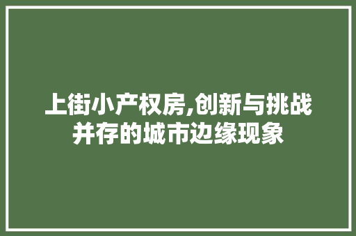 上街小产权房,创新与挑战并存的城市边缘现象