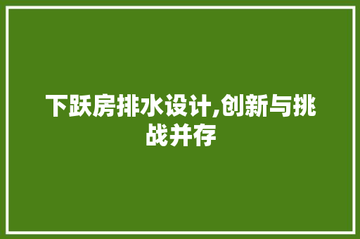下跃房排水设计,创新与挑战并存