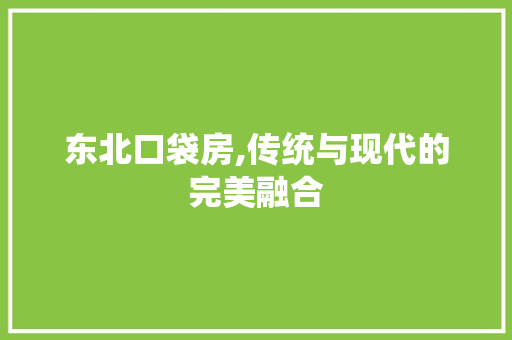 东北口袋房,传统与现代的完美融合