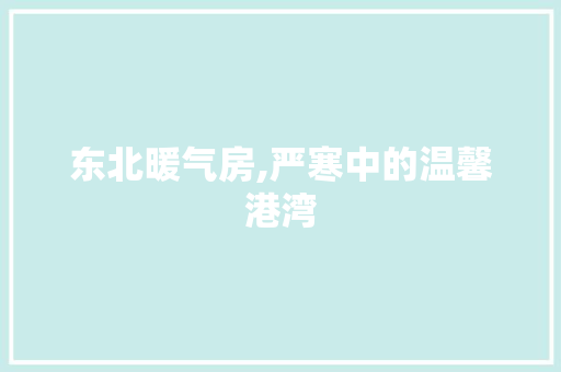 东北暖气房,严寒中的温馨港湾