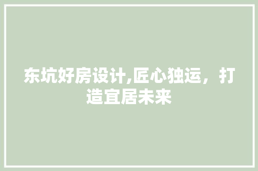 东坑好房设计,匠心独运，打造宜居未来