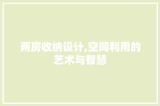 两房收纳设计,空间利用的艺术与智慧