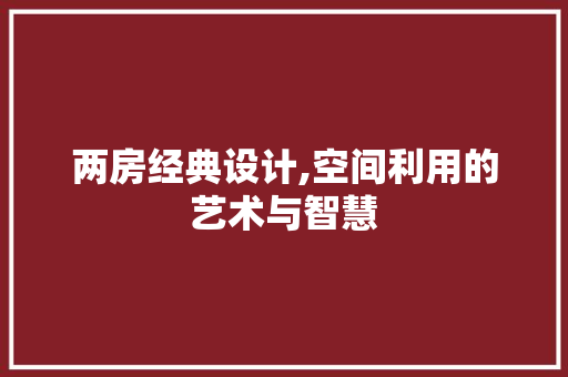 两房经典设计,空间利用的艺术与智慧