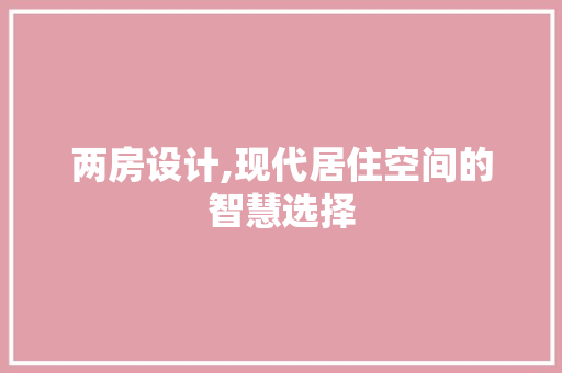 两房设计,现代居住空间的智慧选择