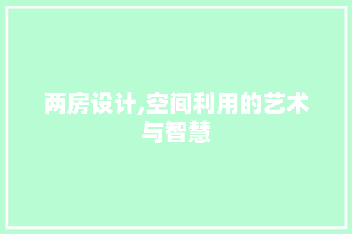 两房设计,空间利用的艺术与智慧