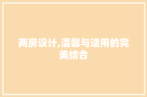两房设计,温馨与适用的完美结合