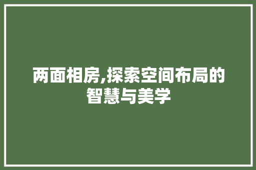 两面相房,探索空间布局的智慧与美学