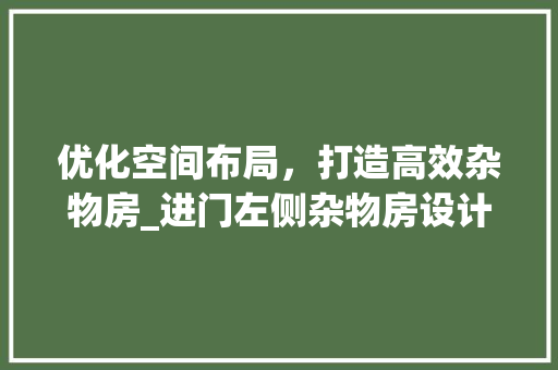 优化空间布局，打造高效杂物房_进门左侧杂物房设计